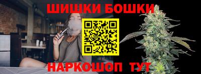 индика Абакан