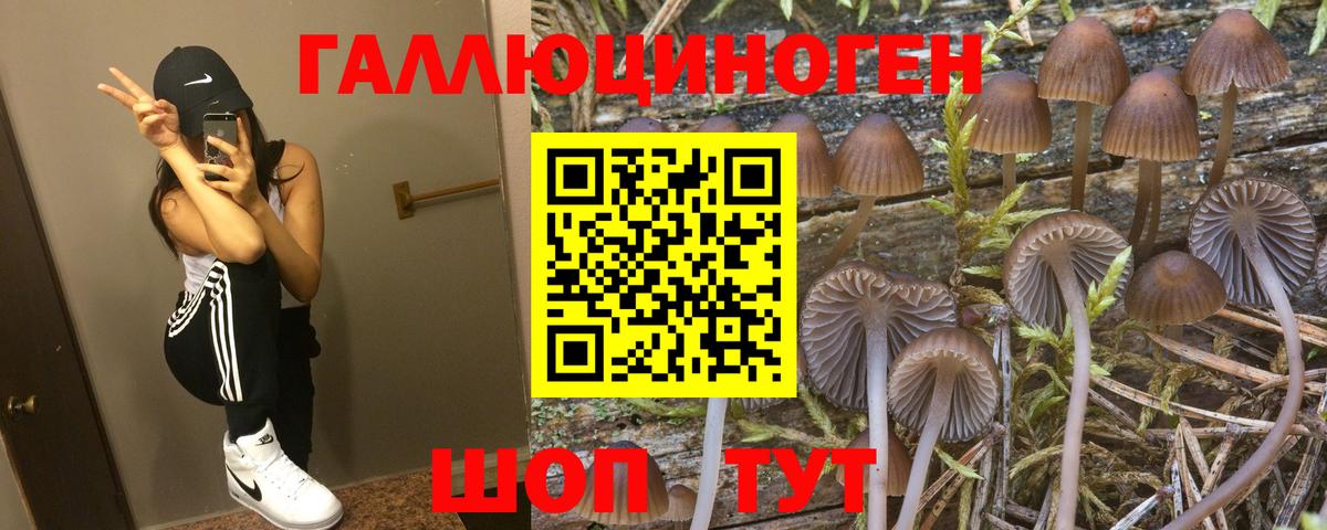Псилоцибиновые грибы ЛСД Светлоград