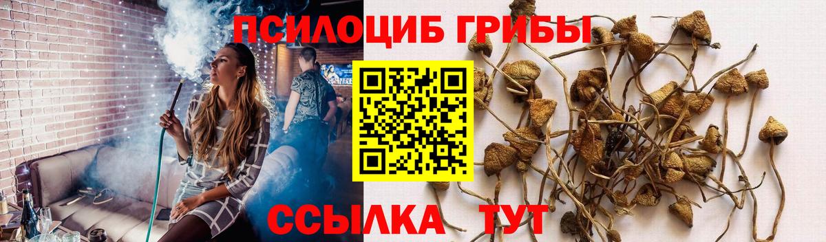Светлоград  Галлюциногенные грибы ЛСД  Вход с VPN 